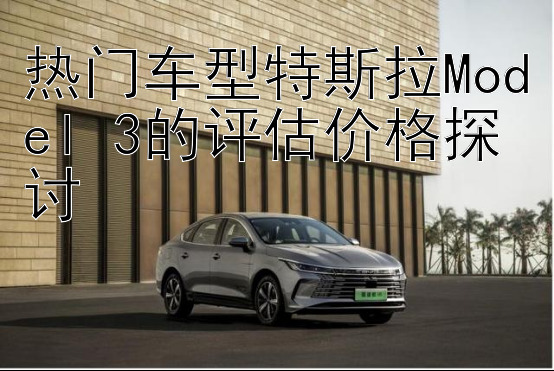 热门车型特斯拉Model 3的评估价格探讨