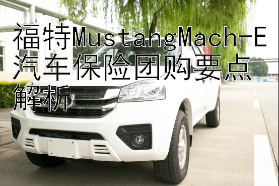 福特MustangMach-E汽车保险团购要点解析