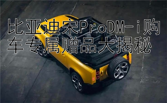 比亚迪宋ProDM-i购车专属赠品大揭秘