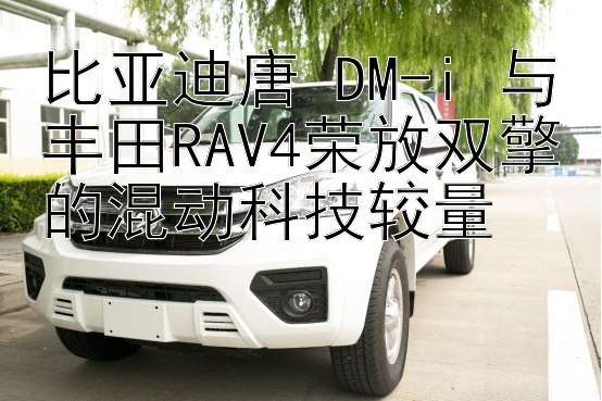 比亚迪唐 DM-i 与丰田RAV4荣放双擎的混动科技较量