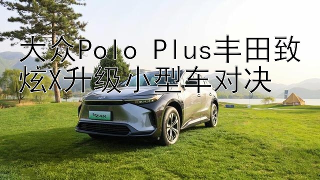 大众Polo Plus丰田致炫X升级小型车对决