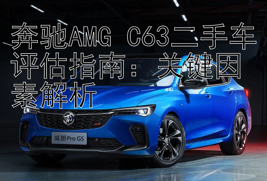 奔驰AMG C63二手车评估指南：关键因素解析