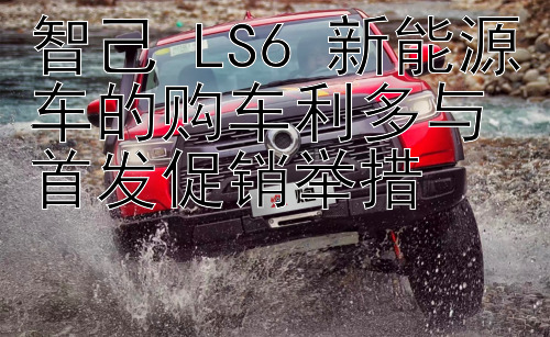 智己 LS6 新能源车的购车利多与首发促销举措