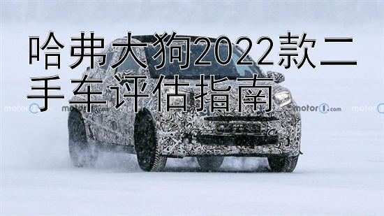 哈弗大狗2022款二手车评估指南