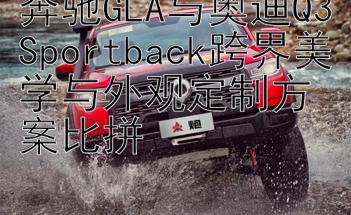 奔驰GLA与奥迪Q3Sportback跨界美学与外观定制方案比拼