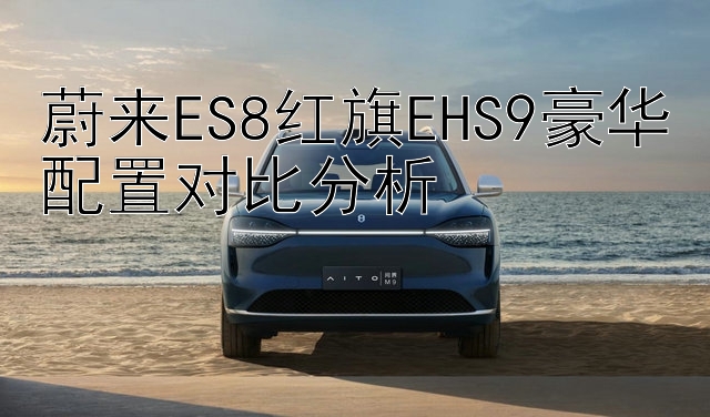 蔚来ES8红旗EHS9豪华配置对比分析