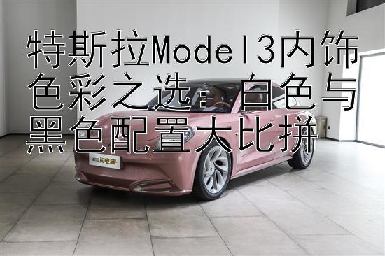 特斯拉Model3内饰色彩之选：白色与黑色配置大比拼