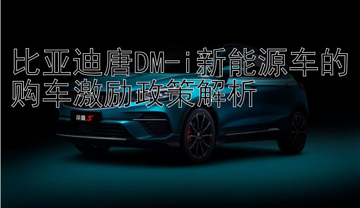 比亚迪唐DM-i新能源车的购车激励政策解析